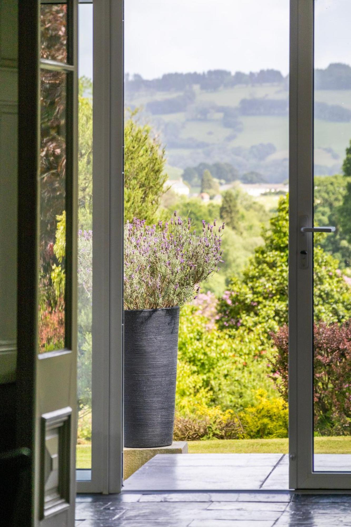 The Falcondale At Lampeter Bagian luar foto
