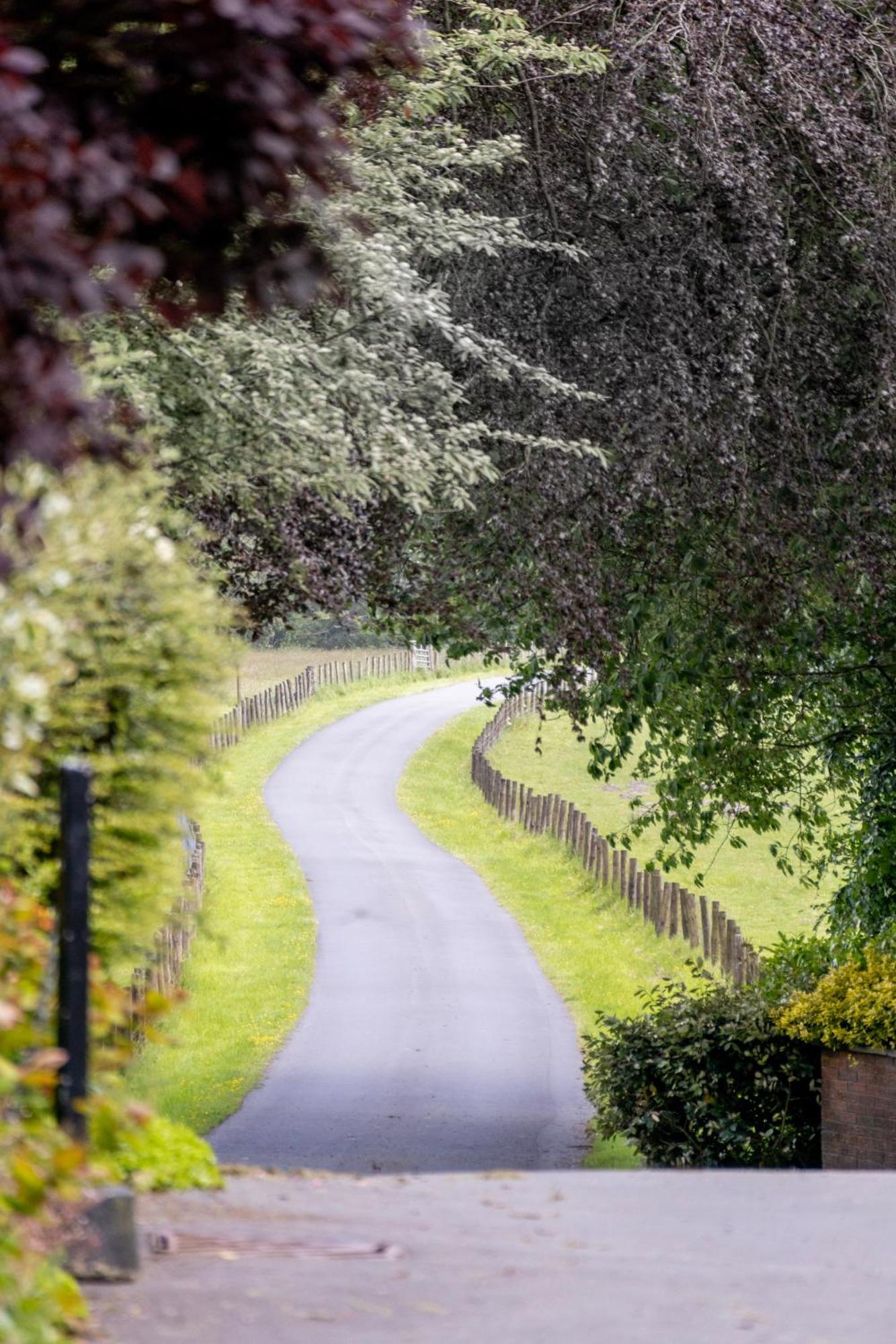 The Falcondale At Lampeter Bagian luar foto